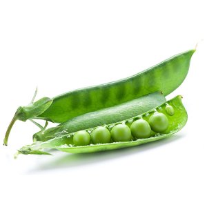 En elegant Ärtor gröna, Närodlade gröna ärtor med naturligt utseende och känsla. Detaljerad utformning med realistiskt bladverk. 