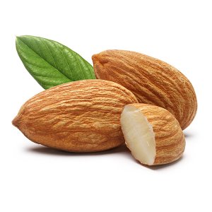 En elegant Mandel, Sötmandel med naturligt utseende och känsla. Detaljerad utformning med realistiskt bladverk. 