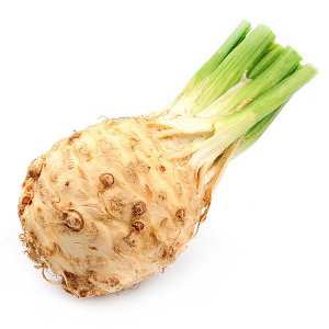 En elegant Rotselleri, Närodlad rotselleri med naturligt utseende och känsla. Detaljerad utformning med realistiskt bladverk. 